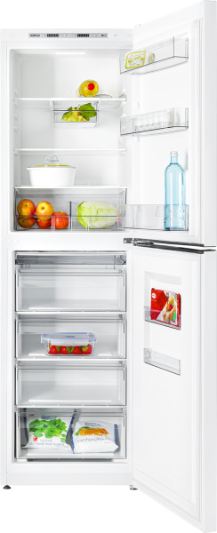 Холодильник двухкамерный ХМ-6623-109